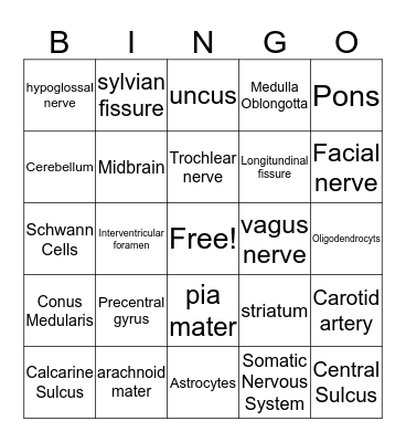 SPA 330 Chapter 4 Bingo Card