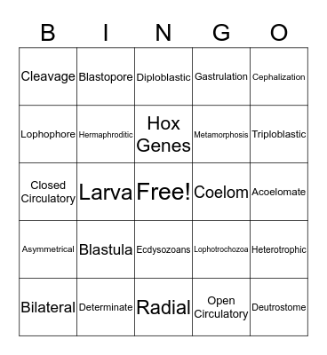 Animal Terminology Bingo Card