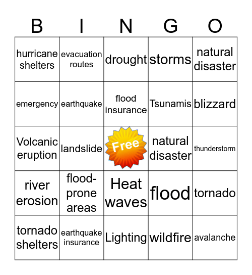 Natural Disasters  Bingo Card