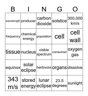 6th Grade Review Bingo Card