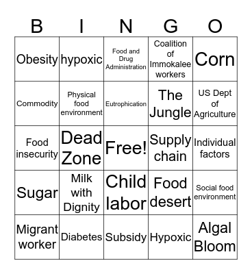 Food and Social Justice Review Bingo Card