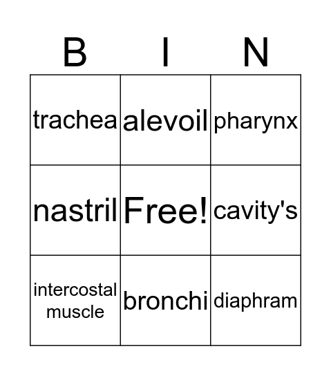 respirtory system Bingo Card
