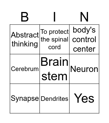 Nervous System Bingo Card