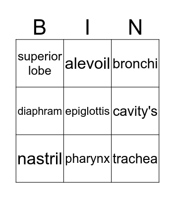 respiratory system Bingo Card