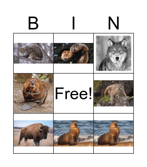 Wild Animals Bingo Card