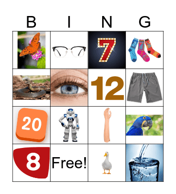 1 primary Bingo Card