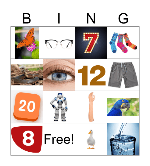 1 primary Bingo Card