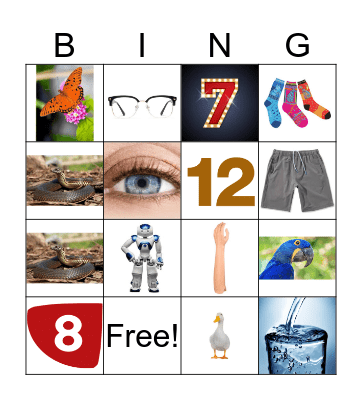 1 primary Bingo Card