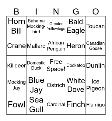 Science Bird Bingo Card