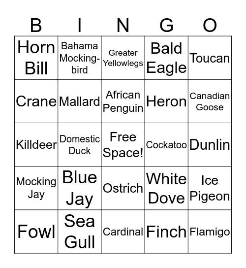 Science Bird Bingo Card