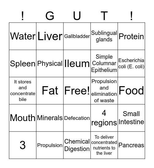 go with your GUT bingo! Bingo Card