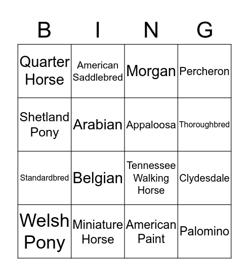 Horse Breeds  Bingo Card