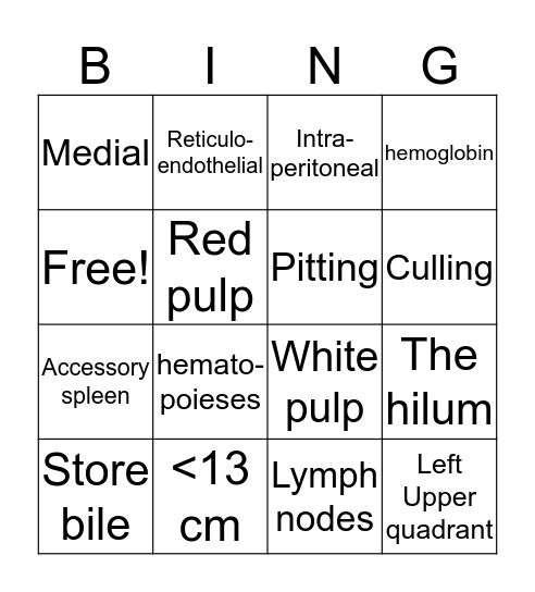 Spleen and lymph nodes  Bingo Card