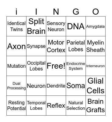 Biological Basis in Behavior Bingo Card