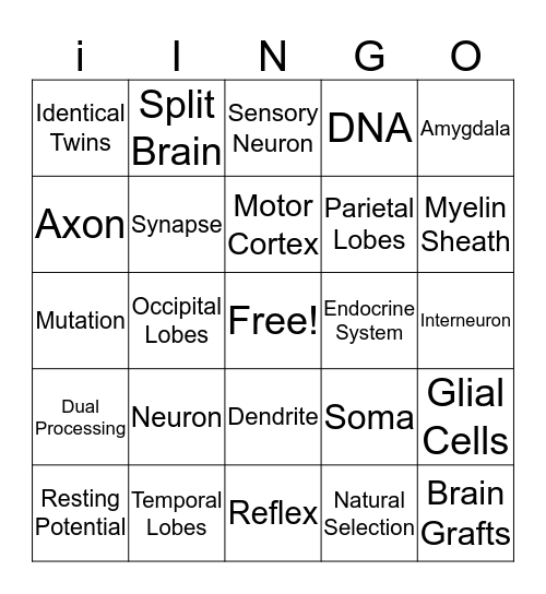 Biological Basis in Behavior Bingo Card