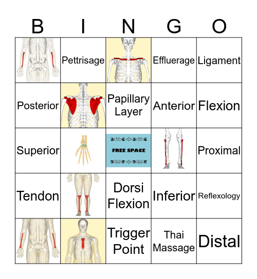 Anatomy Bingo Card