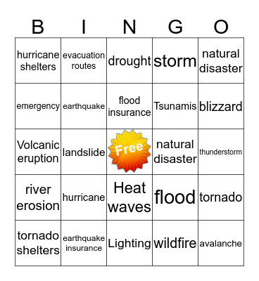 Natural Disasters  Bingo Card