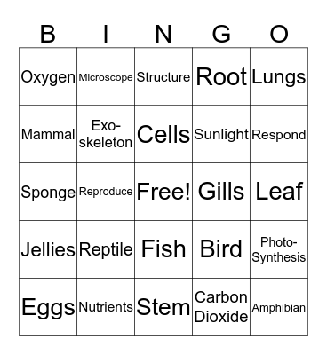 A Look at Living Things Bingo Card