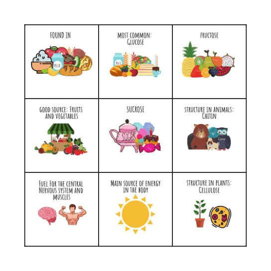 CARBOHYDRATES Bingo Card