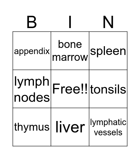 immune system  Bingo Card