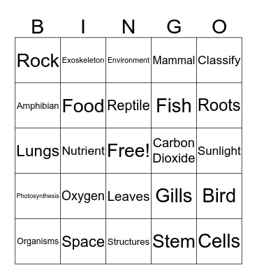 A Look At Living Things Bingo Card