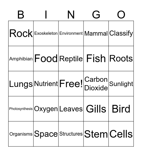 A Look At Living Things Bingo Card