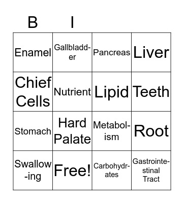 Digestive System Bingo Card