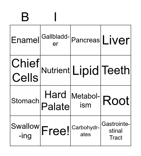 Digestive System Bingo Card