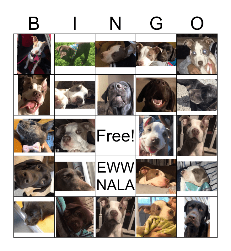 NALA & CALLIE Bingo Card
