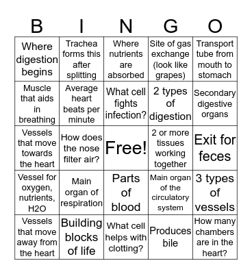 Human Body Systems I Review Bingo Card