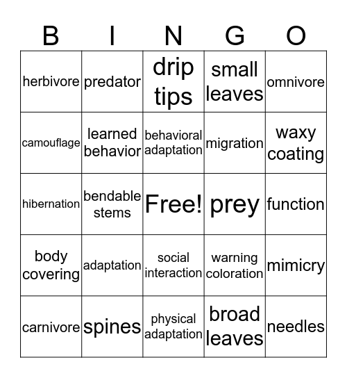 Adaptations Bingo Card