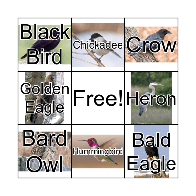 Bird Call Bingo Card