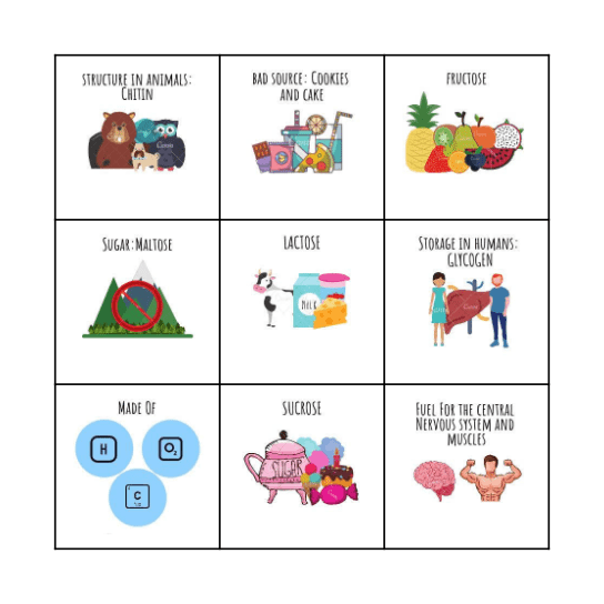 CARBOHYDRATES Bingo Card