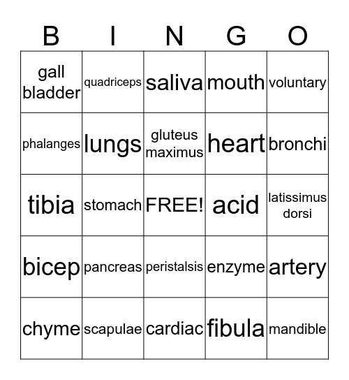 Human Body Bingo Card