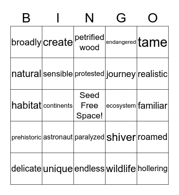 Treasures 4.1, Vocabulary Units 3-4 Bingo Card