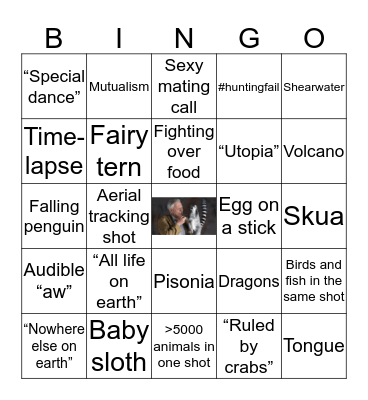 Planet Earth II - Episode I Bingo Card