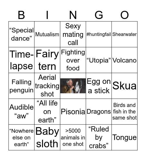 Planet Earth II - Episode I Bingo Card