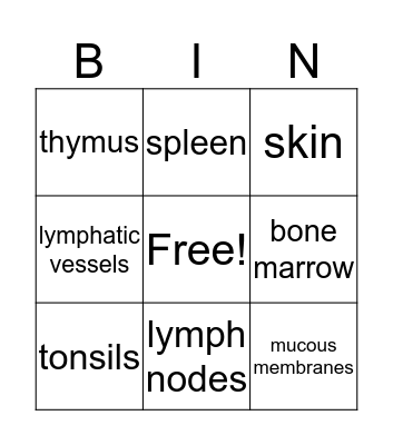 immune system Bingo Card