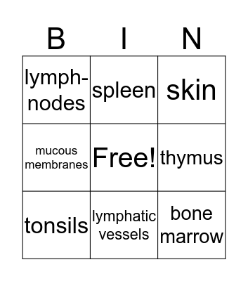 immune system Bingo Card
