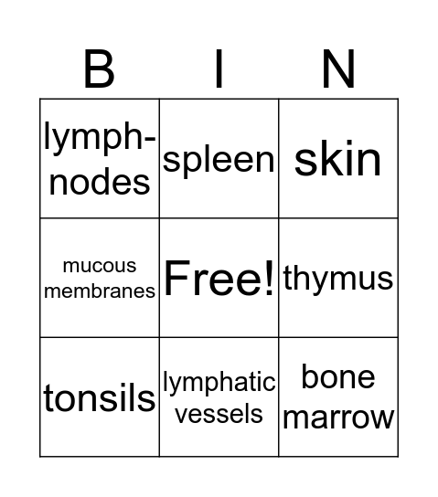 immune system Bingo Card