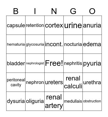 The Urinary System  Bingo Card
