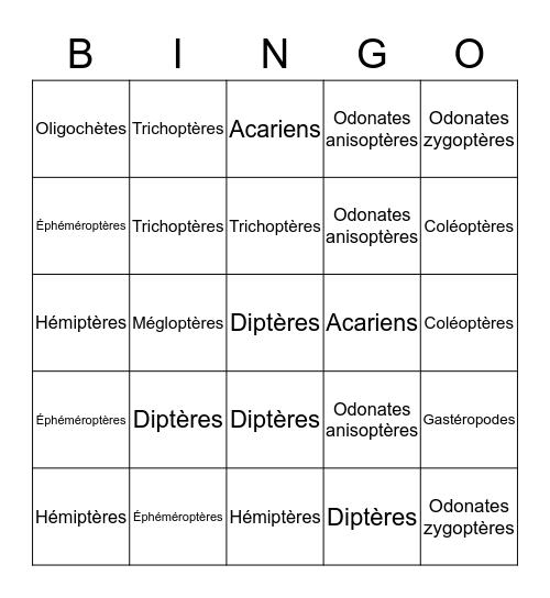 Taxo bingo du ruisseau de la mine abandonnée Bingo Card
