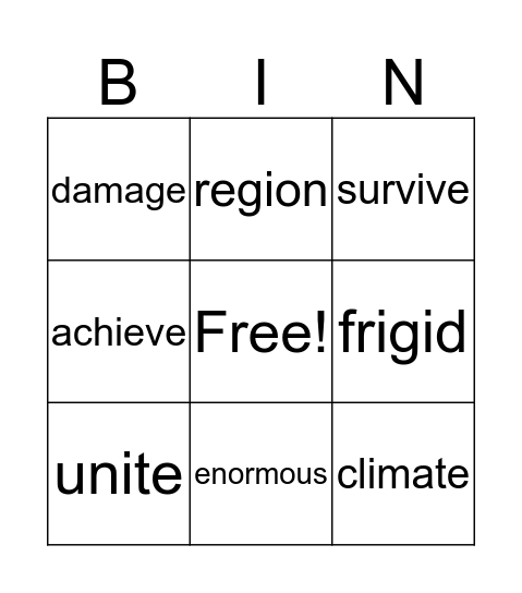 Vocabulary BIN Bingo Card