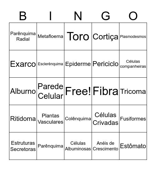 Anatomia Vegetal Bingo Card