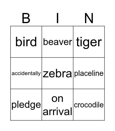 NIE Bingo Card