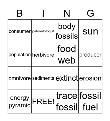 Chapter 4 Review Bingo Card