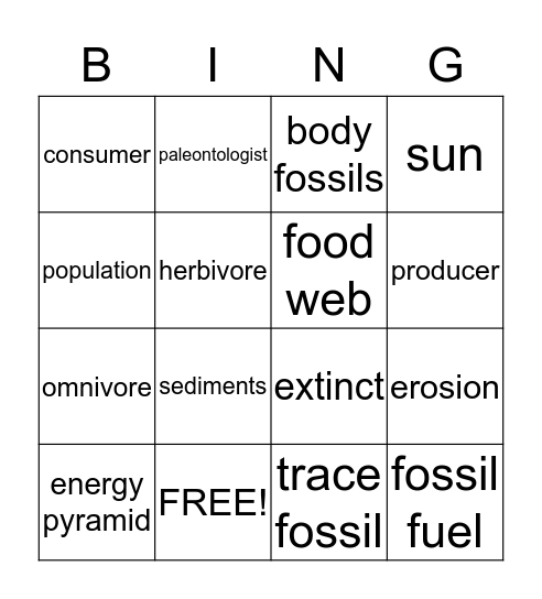 Chapter 4 Review Bingo Card