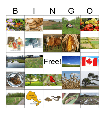 FARM GROW BINGO Card