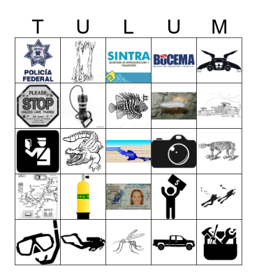 Guía de Buceo  Bingo Card