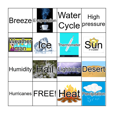 Water Cycle Bingo Card